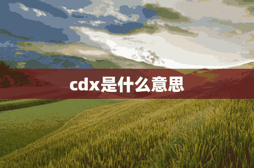 cdx是什么意思(cdx是什么意思医学)